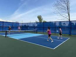 Image result for Albany Badminton Club