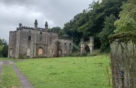 Image result for England Staffordshire Birding Club