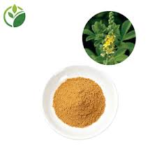 Attēlu rezultāti vaicājumam “Agrimonia pilosa”