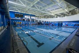 Image result for York University Swimming & Water Polo Club
