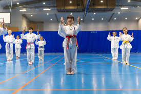 Image result for Impact Martial Arts