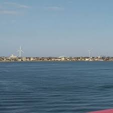 「ススム・フジ」の画像検索結果