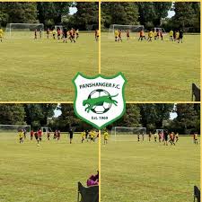 Image result for Welwyn Garden City Panshanger Football Club