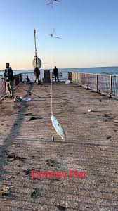 Image result for Eastney Hi Spinners