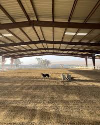 Image result for Woodhill Riding Club