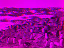 Image result for Anaglyph