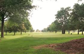 Image result for Flint Golf Club