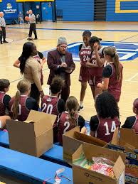 Image result for Elmbridge Girls Basketball Club