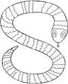 Lizard coloring page