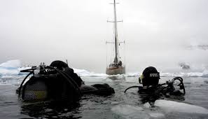 Image result for Dive Solutions, London