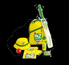 Image result for Kingsley Cricket Club