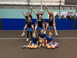 Image result for Saracens Netball Club
