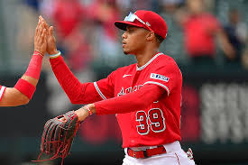 「アダムス・ティネル」の画像検索結果