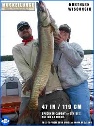 Image result for Esox masquinongy