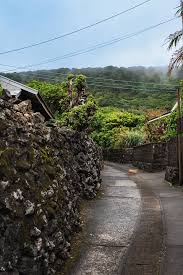 Image result for Bushiki Kwai