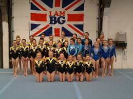 Image result for Brumby Gymnastics Club