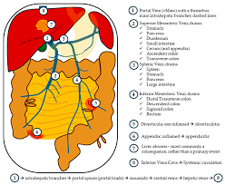 Image result for Redoubtables Cc