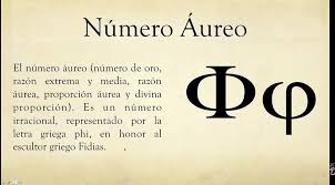 Image result for numero aureo