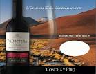 An Inexpensive Red Chilean Bordeaux Blend