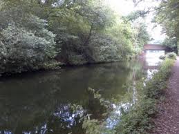 Image result for Addlestone Angling Society
