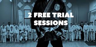 Image result for Bristol Temple Gate Dojo
