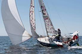 Image result for Pogo minitransat