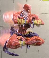 Image result for "ヨガブラスト"