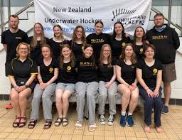 Image result for Dublin Underwater Hockey Team