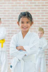 Image result for Vision Martial Arts