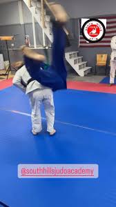 Image result for Southill Karate Club