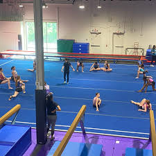 Image result for Jayenell Gymnastics Club