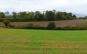 Image result for Stalbridge Cc