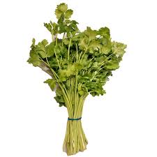 Image result for Koriander