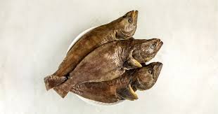 Image result for Reinhardtius hippoglossoides