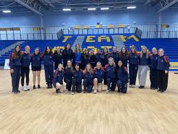 Image result for Tiffin Junior Netball Club