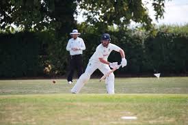 Image result for Fareham and Crofton Cricket Club