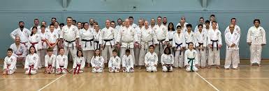 Image result for Wokingham Shotokai