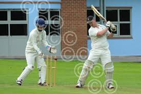 Image result for Luctonians Cricket Club