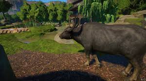 Image result for Wild Water Planet