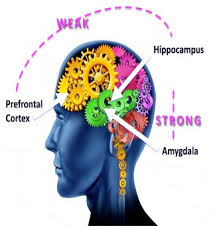 Image result for boala crohn si schizofrenie paranoida