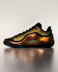 Image result for lebron james shoes