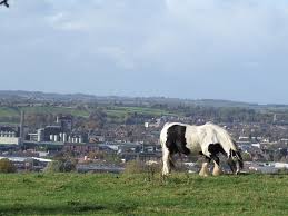 Image result for The Craythorne Golf Club