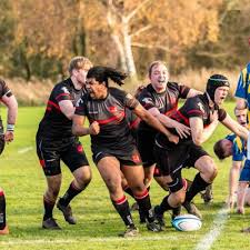 Image result for Stoke On Trent Rugby Union Football Club
