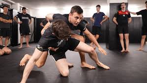 Image result for Impact Martial Arts