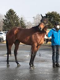 Image result for Almond Riding Club