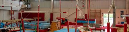 Image result for Forest Of Dean Gymnastics Club