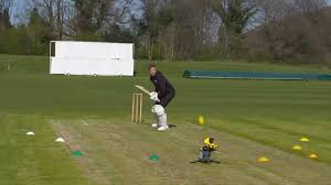 Image result for Buxted Park Cricket Club
