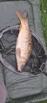 Image result for Bay Malton Angling Club