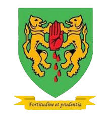 Image result for Collegeland O`rahillys Gaelic Football Club