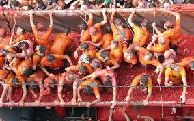 Afbeeldingsresultaat voor oranje van goeienbier tomato